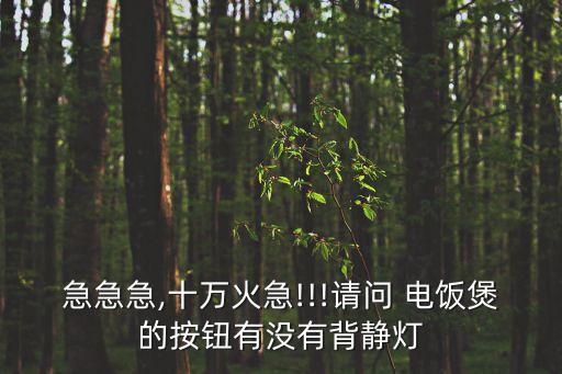 急急急,十萬火急!!!請問 電飯煲的按鈕有沒有背靜燈