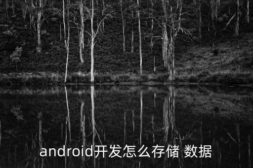 安卓應(yīng)用數(shù)據(jù)保存,安卓手機(jī)怎么保存數(shù)據(jù)破解密碼