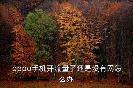  oppo手機(jī)開(kāi)流量了還是沒(méi)有網(wǎng)怎么辦