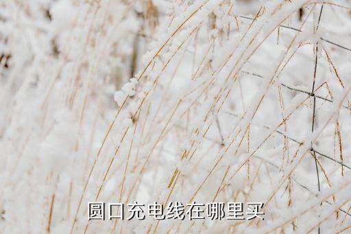 圓口充電線在哪里買