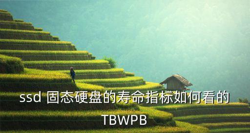 固態(tài)評(píng)測(cè)數(shù)據(jù)怎么看,win7怎么看硬盤(pán)是不是固態(tài)