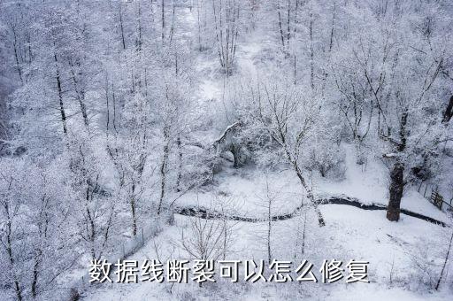  數(shù)據(jù)線斷裂可以怎么修復