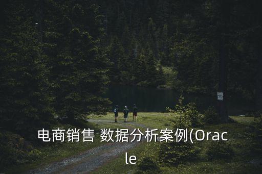  電商銷售 數(shù)據(jù)分析案例(Oracle
