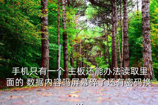 手機(jī)主板 提取數(shù)據(jù),只有手機(jī)主板怎么提取照片信息?