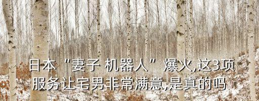 有機器人還干日本皇后