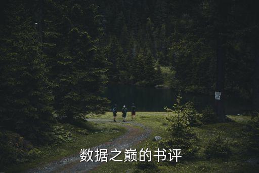  數(shù)據(jù)之巔的書評