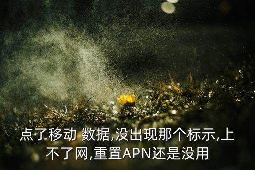 點了移動 數(shù)據(jù),沒出現(xiàn)那個標(biāo)示,上不了網(wǎng),重置APN還是沒用