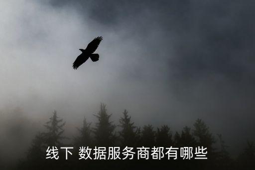 大數(shù)據(jù)領域的先行者,新能源領域先行者是誰