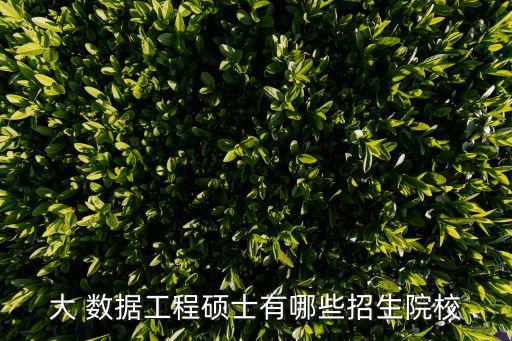 大 數(shù)據工程碩士有哪些招生院校