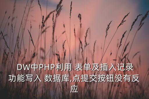 DW表單數(shù)據(jù),dw表單按鈕怎么加鏈接