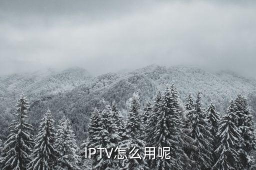 iptv 大數(shù)據(jù)應(yīng)用,中國iptv怎么找不到應(yīng)用