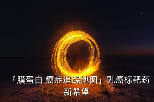 癌癥大數(shù)據(jù)平臺(tái),2022年中國癌癥數(shù)據(jù)