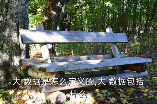 大 數據是怎么定義的,大 數據包括什么