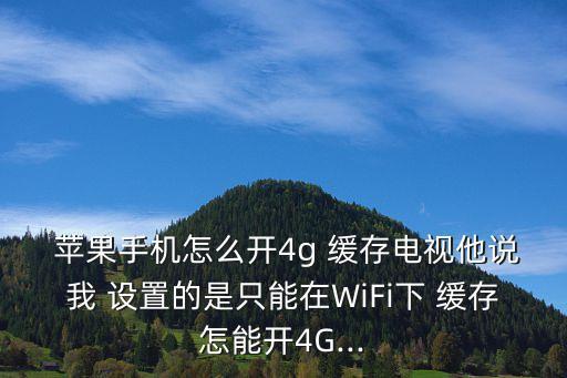 蘋果設(shè)置數(shù)據(jù)緩存視頻,蘋果ipad怎么清理緩存和數(shù)據(jù)