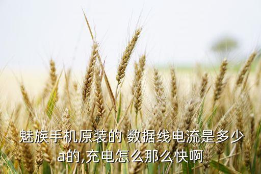  魅族手機(jī)原裝的 數(shù)據(jù)線電流是多少a的,充電怎么那么快啊