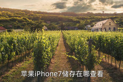 蘋(píng)果的數(shù)據(jù)在哪里可以看到,蘋(píng)果手機(jī)在哪里可以看到激活時(shí)間