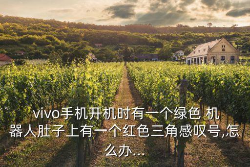  vivo手機(jī)開(kāi)機(jī)時(shí)有一個(gè)綠色 機(jī)器人肚子上有一個(gè)紅色三角感嘆號(hào),怎么辦...