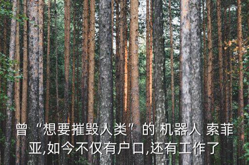 曾“想要摧毀人類”的 機(jī)器人 索菲亞,如今不僅有戶口,還有工作了