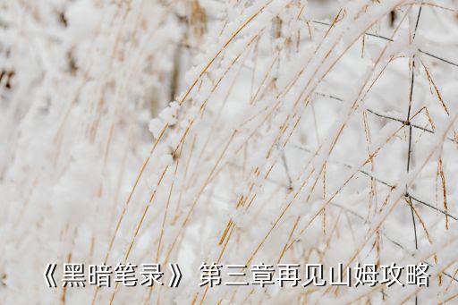 《黑暗筆錄》 第三章再見山姆攻略