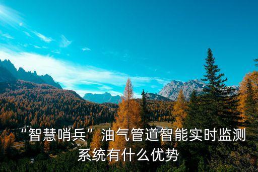 “智慧哨兵”油氣管道智能實(shí)時(shí)監(jiān)測 系統(tǒng)有什么優(yōu)勢