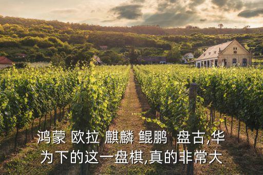 鴻蒙 歐拉 麒麟 鯤鵬  盤古,華為下的這一盤棋,真的非常大
