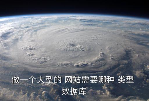 做一個(gè)大型的 網(wǎng)站需要哪種 類型 數(shù)據(jù)庫(kù)