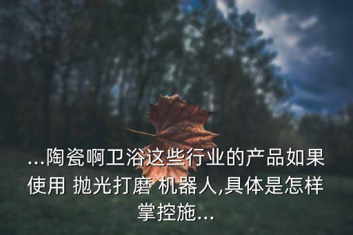 拋光機(jī)器人程序流程,全自動(dòng)打磨拋光機(jī)器人