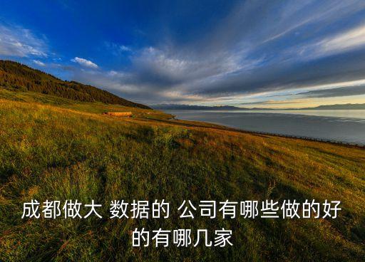 成都做大 數(shù)據(jù)的 公司有哪些做的好的有哪幾家