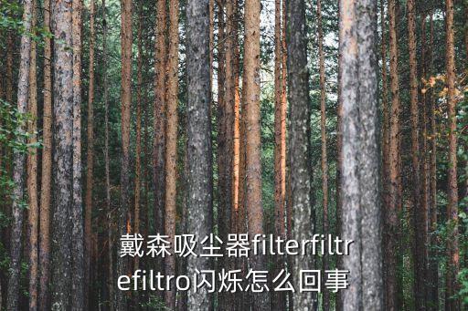  戴森吸塵器filterfiltrefiltro閃爍怎么回事