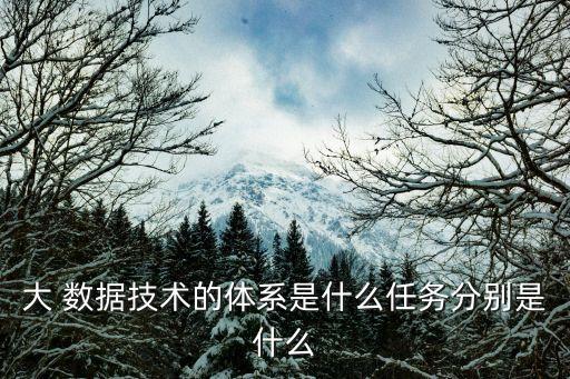 大 數(shù)據(jù)技術(shù)的體系是什么任務(wù)分別是什么