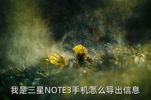 note3短信數(shù)據(jù)文件