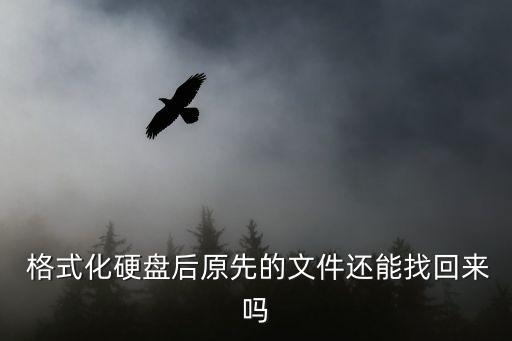  格式化硬盤后原先的文件還能找回來嗎