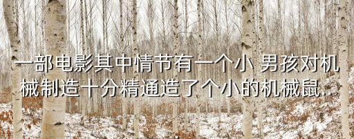 一部電影其中情節(jié)有一個小 男孩對機械制造十分精通造了個小的機械鼠...
