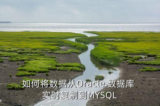 如何將數(shù)據(jù)從Oracle 數(shù)據(jù)庫(kù) 實(shí)時(shí)復(fù)制到MYSQL