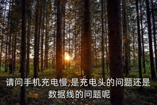 請問手機充電慢,是充電頭的問題還是 數(shù)據(jù)線的問題呢