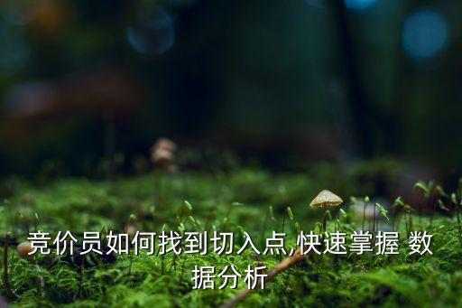 百度統(tǒng)計(jì)地域分布數(shù)據(jù)