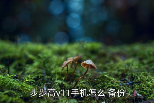  步步高v11手機(jī)怎么 備份