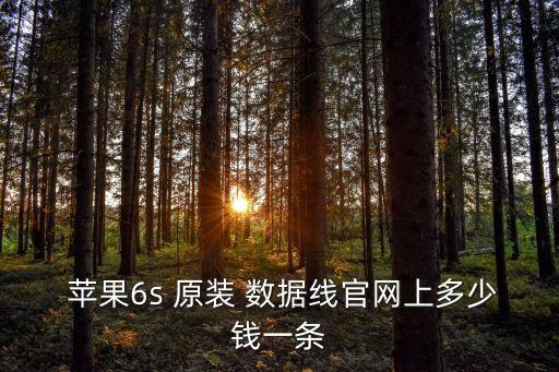  蘋果6s 原裝 數(shù)據(jù)線官網(wǎng)上多少錢一條