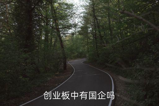 創(chuàng)業(yè)板中有國企嗎