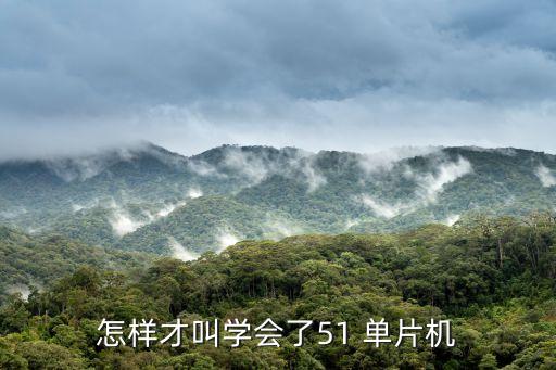 單片機(jī)焊接機(jī)器人,基于單片機(jī)的滅火機(jī)器人設(shè)計(jì)