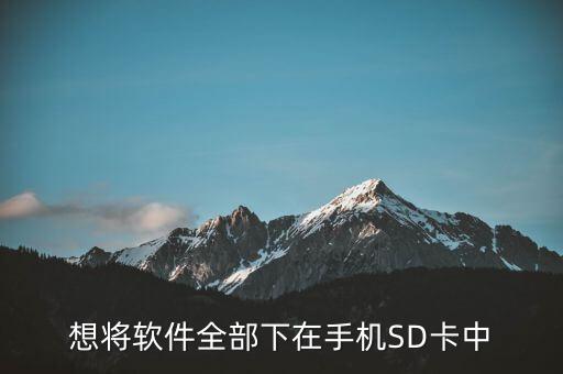 s4數(shù)據(jù)存儲(chǔ)和內(nèi)部存儲(chǔ)共用同一空間