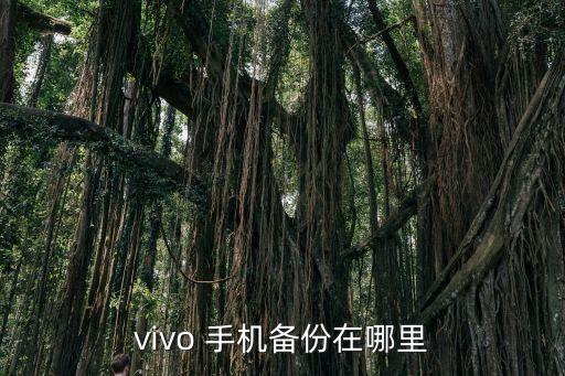 vivo 手機備份在哪里