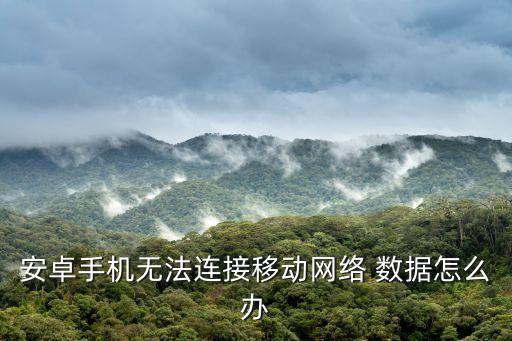 安卓手機無法連接移動網(wǎng)絡 數(shù)據(jù)怎么辦