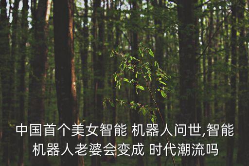 性感機(jī)器人時(shí)代來臨了嗎,機(jī)器人時(shí)代來臨我們該何去何從