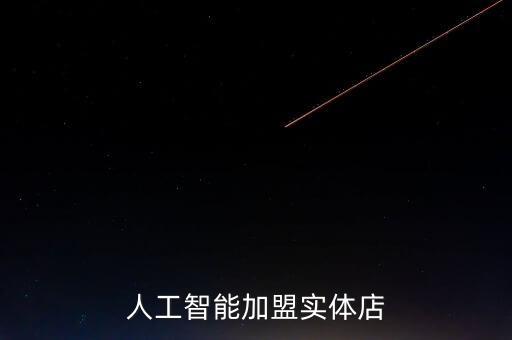 人工智能加盟實體店