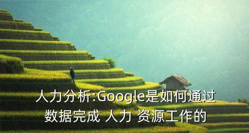 人力資源數(shù)據(jù) 決策