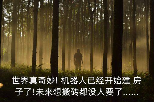 最先進(jìn)拆房子機(jī)器人