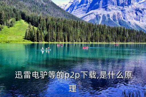 迅雷大數(shù)據(jù)公司和迅雷