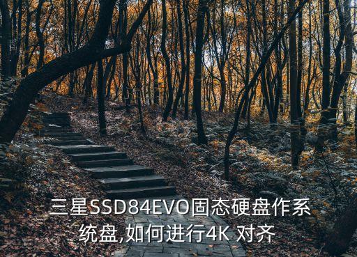  三星SSD84EVO固態(tài)硬盤(pán)作系統(tǒng)盤(pán),如何進(jìn)行4K 對(duì)齊