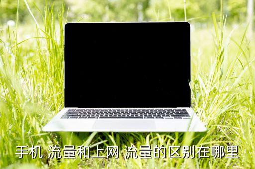 流量和移動(dòng)數(shù)據(jù)的區(qū)別